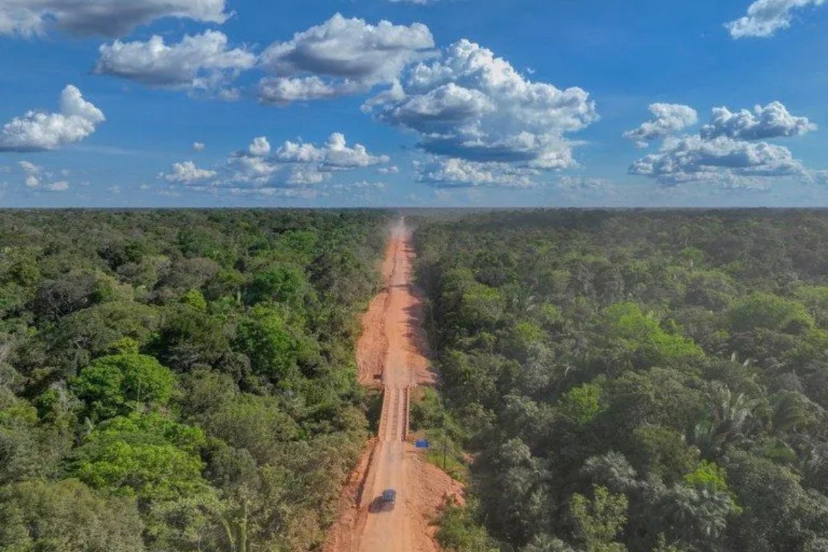 Reservas na área da BR-319 ampliam proteção ambiental em cerca de 669 mil hectares no Amazonas.