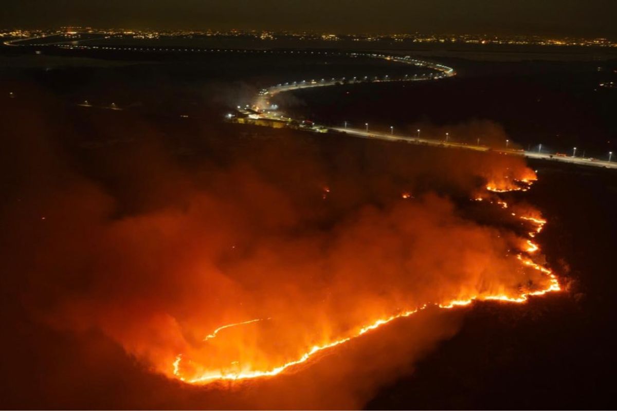 Chamas e fumaça avançam sobre área de mata atingida por incêndio no Amazonas.
